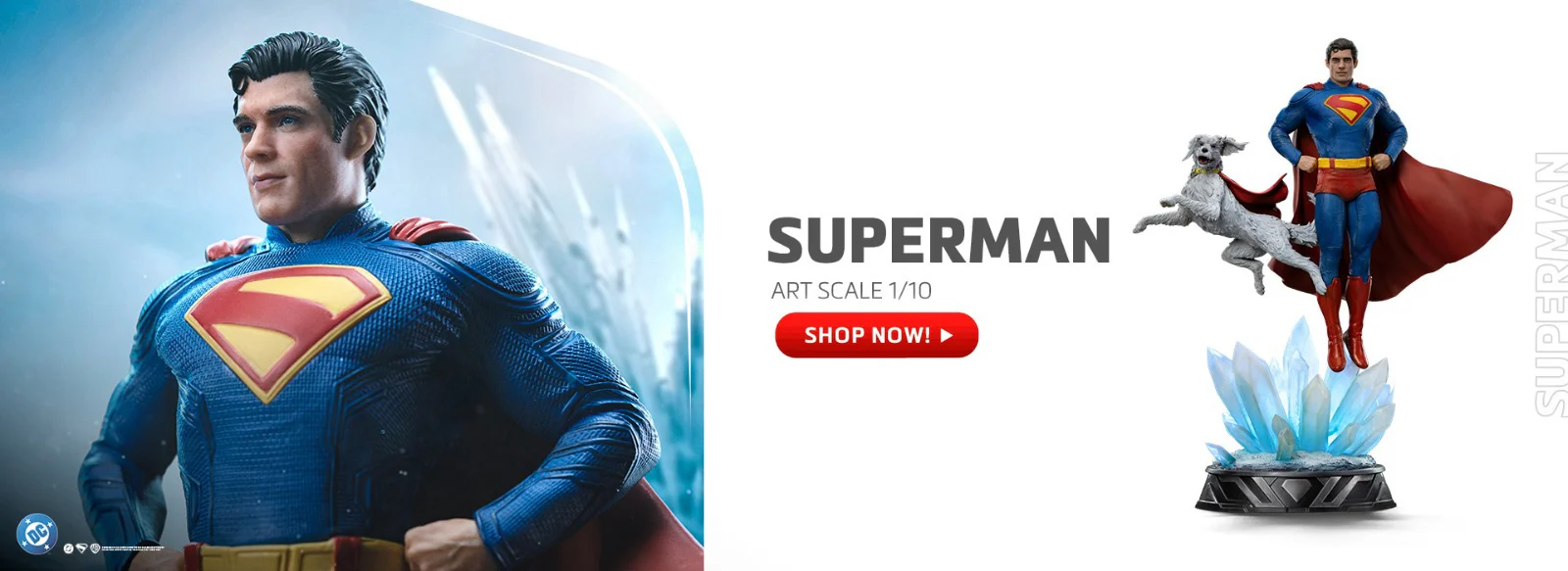 Master Your Collection Today